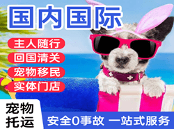 青岛胶东机场货运国际宠物托运 【国